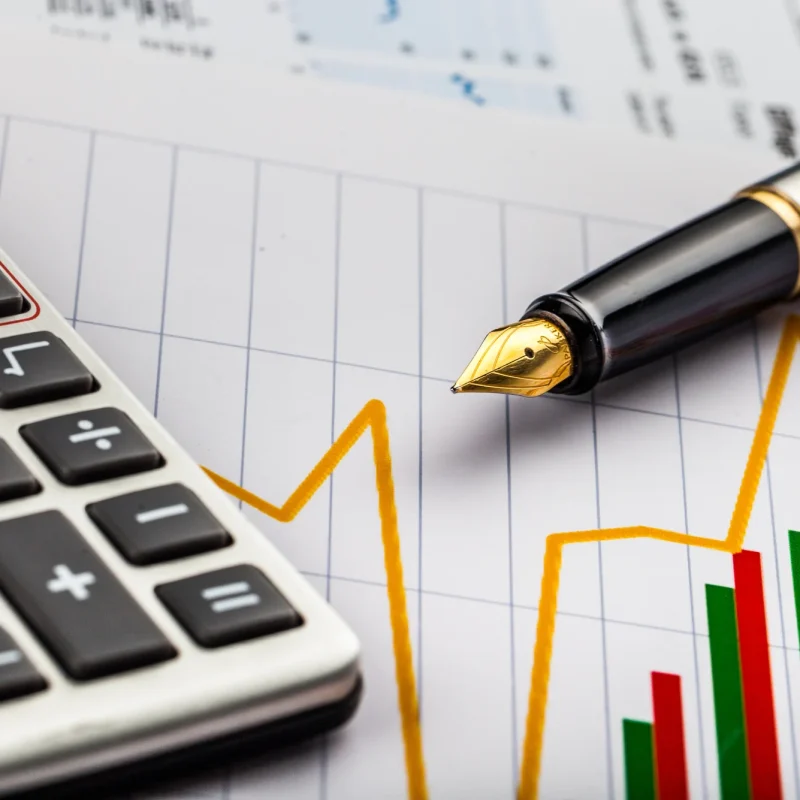 Chart of Accounts & Ledger Maintenance