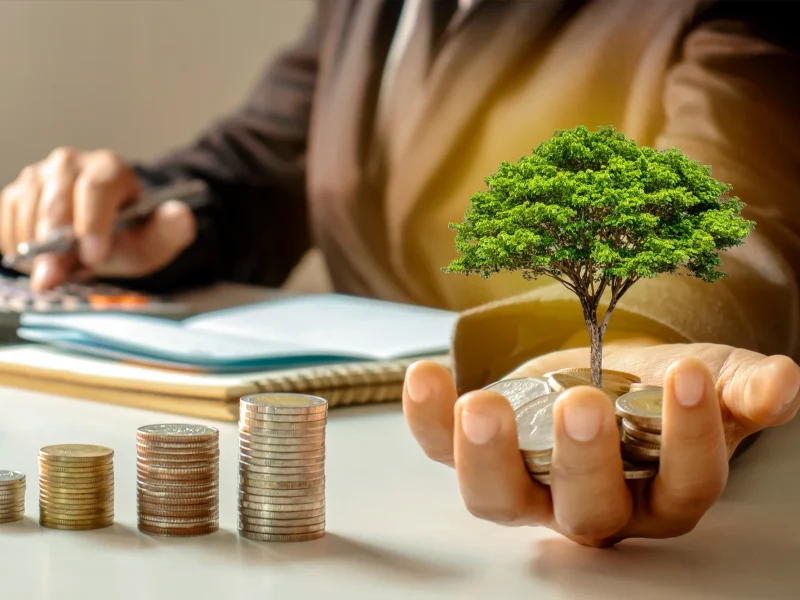 Wealth Management