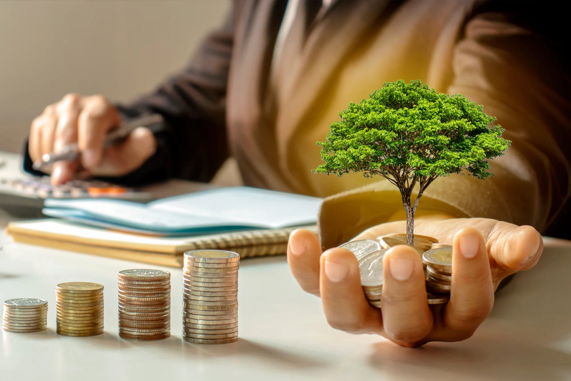 Wealth Management